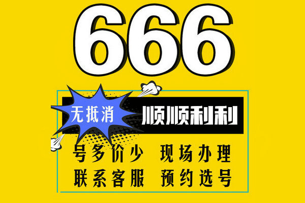 菏澤尾號(hào)666吉祥號(hào)