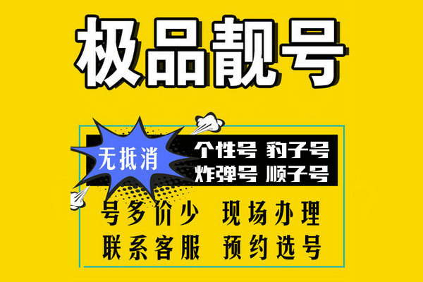 東明豹子吉祥號回收